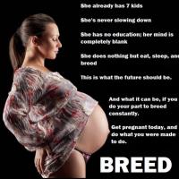 Pregnancy Memes - Preggophilia