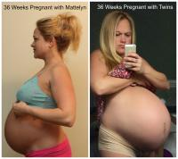 Filename: 36-weeks-pregnant-singleton-vs-twins-1.jpg Size: 2.01 MB Download...